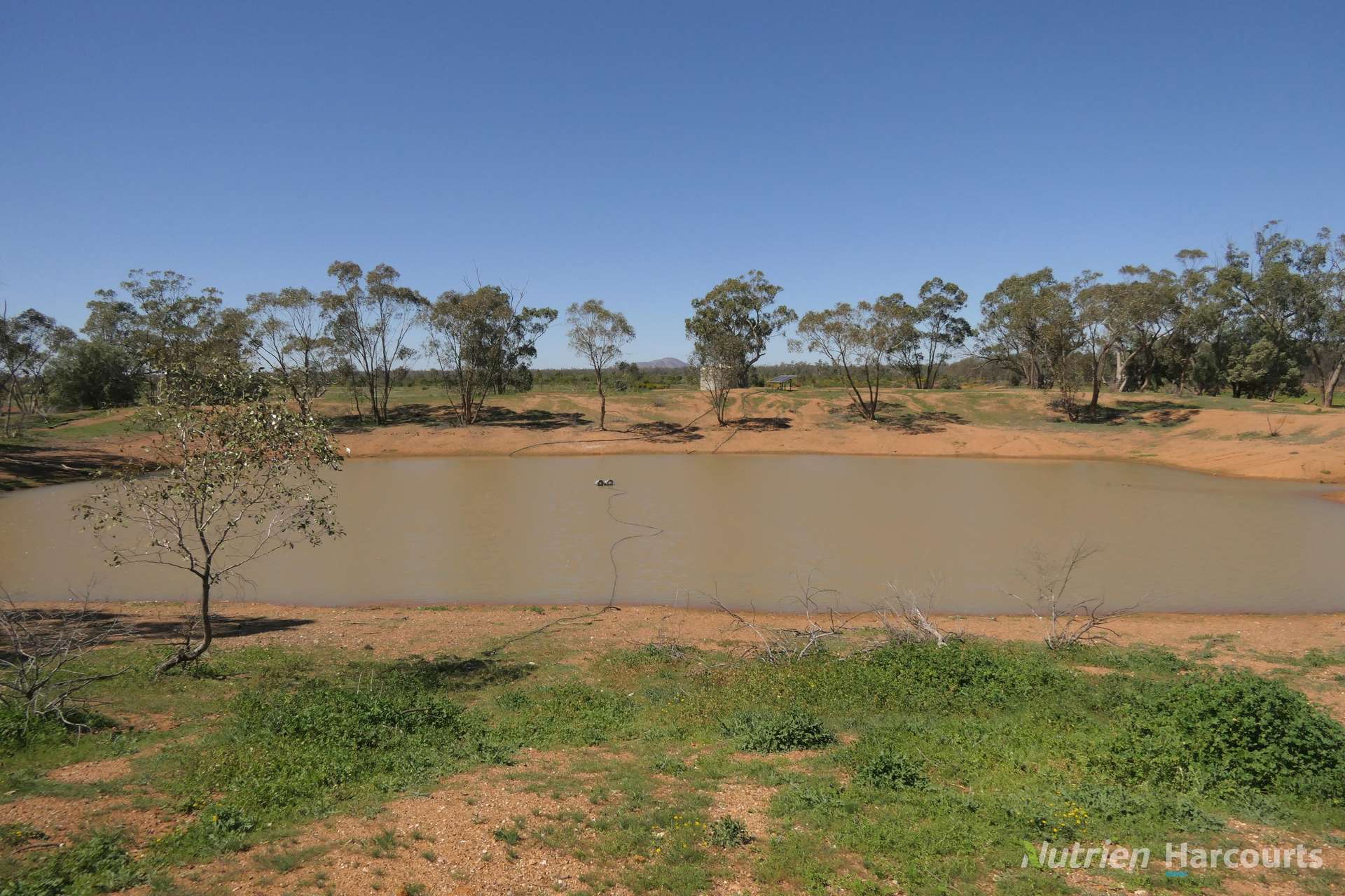 2488 Wilga Downs Road, Cobar For Sale by Farmbuy.com - image 12