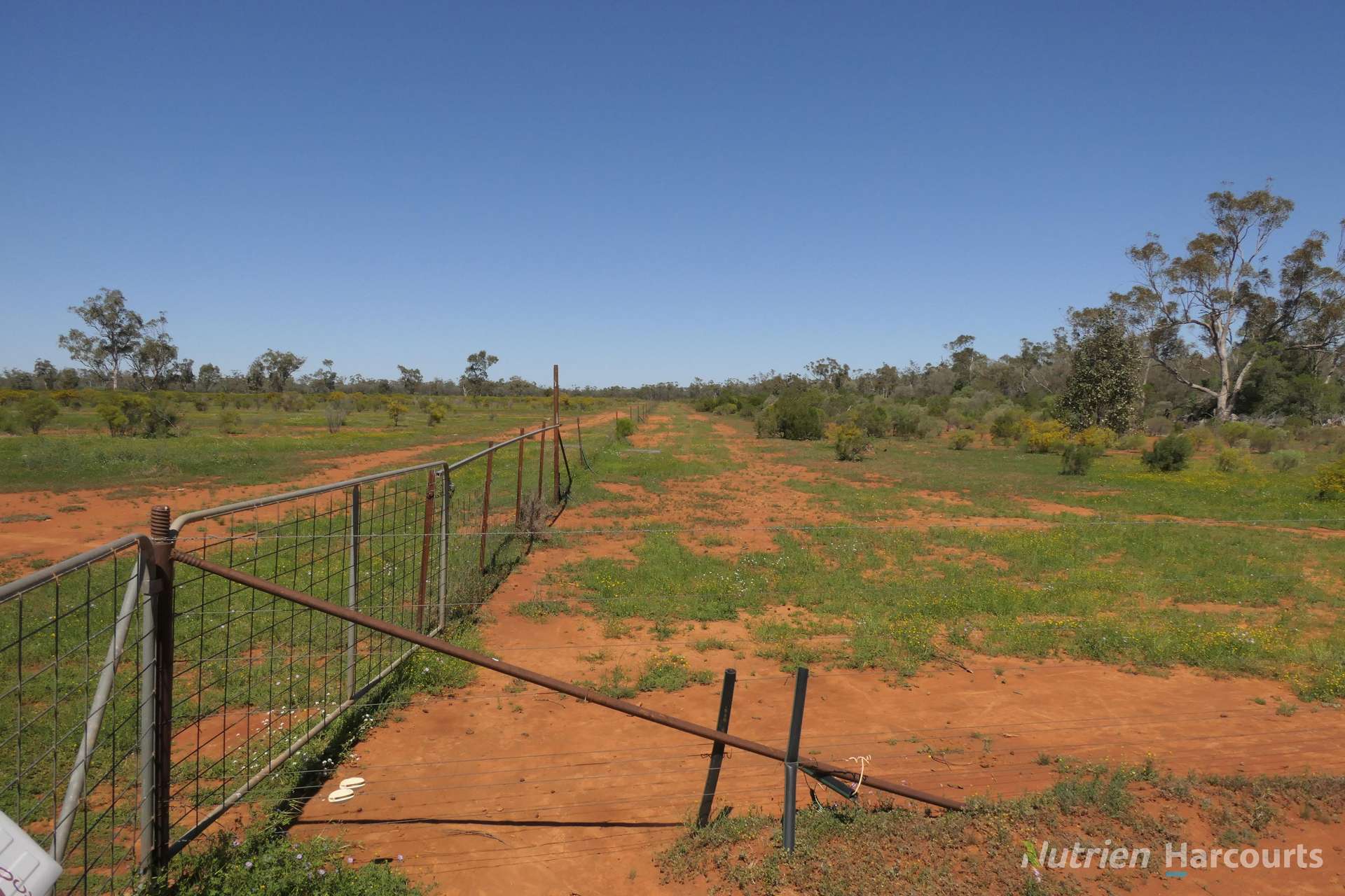 2488 Wilga Downs Road, Cobar For Sale by Farmbuy.com - image 11