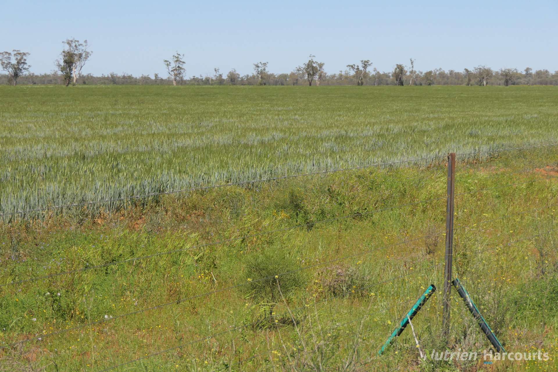 2488 Wilga Downs Road, Cobar For Sale by Farmbuy.com - image 10