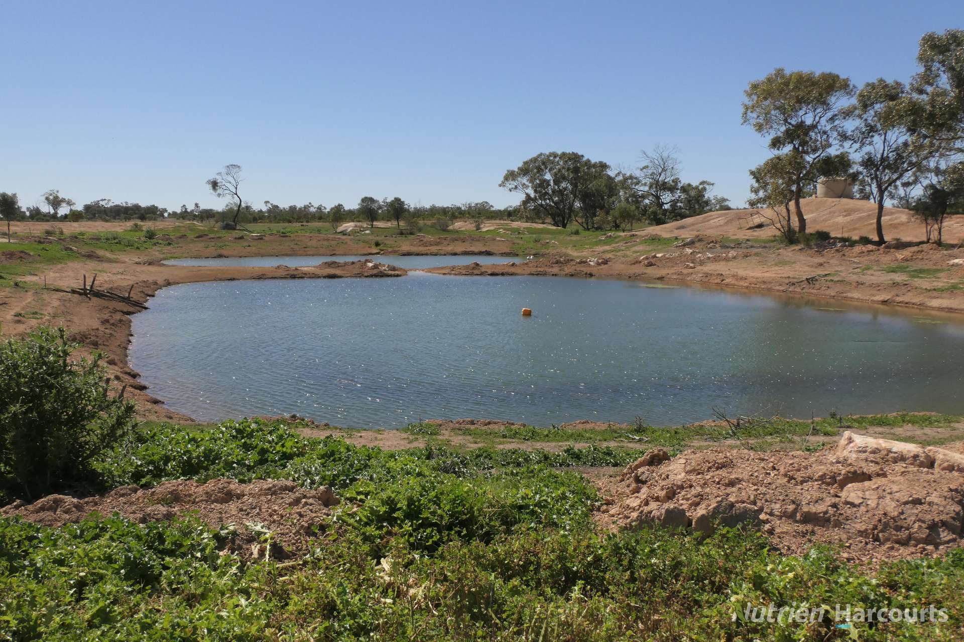2488 Wilga Downs Road, Cobar For Sale by Farmbuy.com - image 6