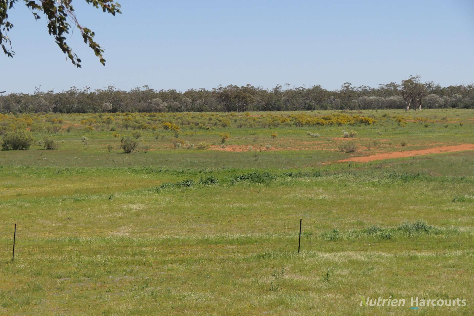 2488 Wilga Downs Road, Cobar For Sale by Farmbuy.com - image 13
