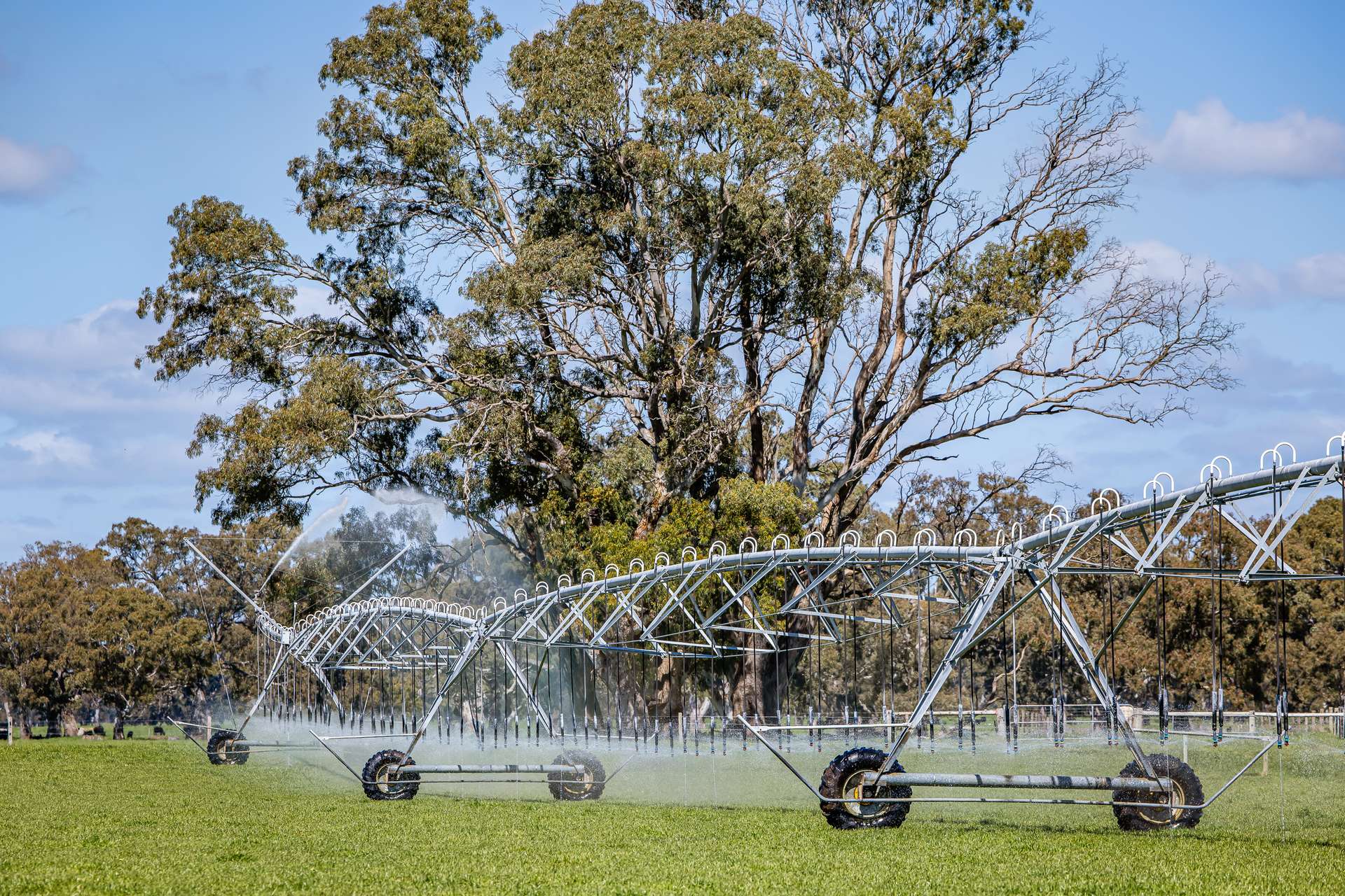 3699 Casterton-Penola Road, Lake Mundi For Sale by Farmbuy.com - image 7