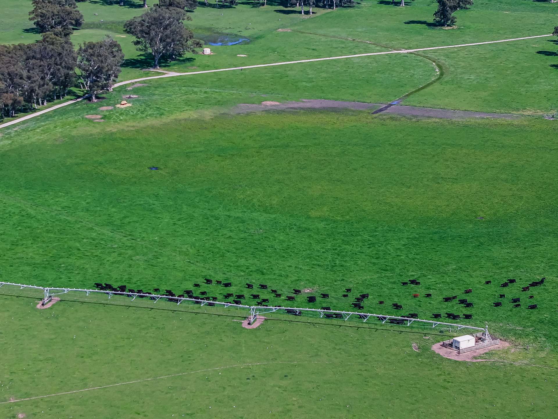 3699 Casterton-Penola Road, Lake Mundi For Sale by Farmbuy.com - image 16