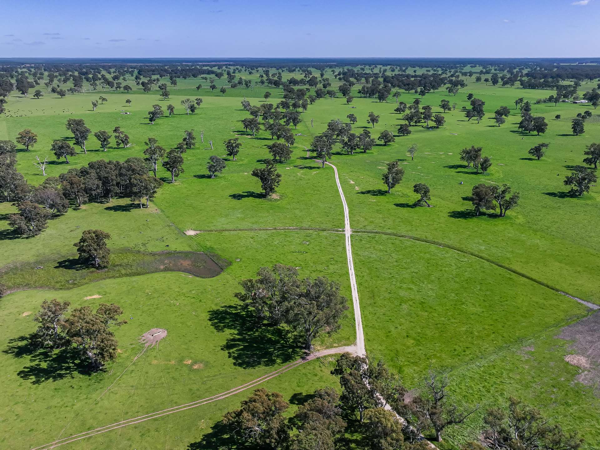 3699 Casterton-Penola Road, Lake Mundi For Sale by Farmbuy.com - image 15