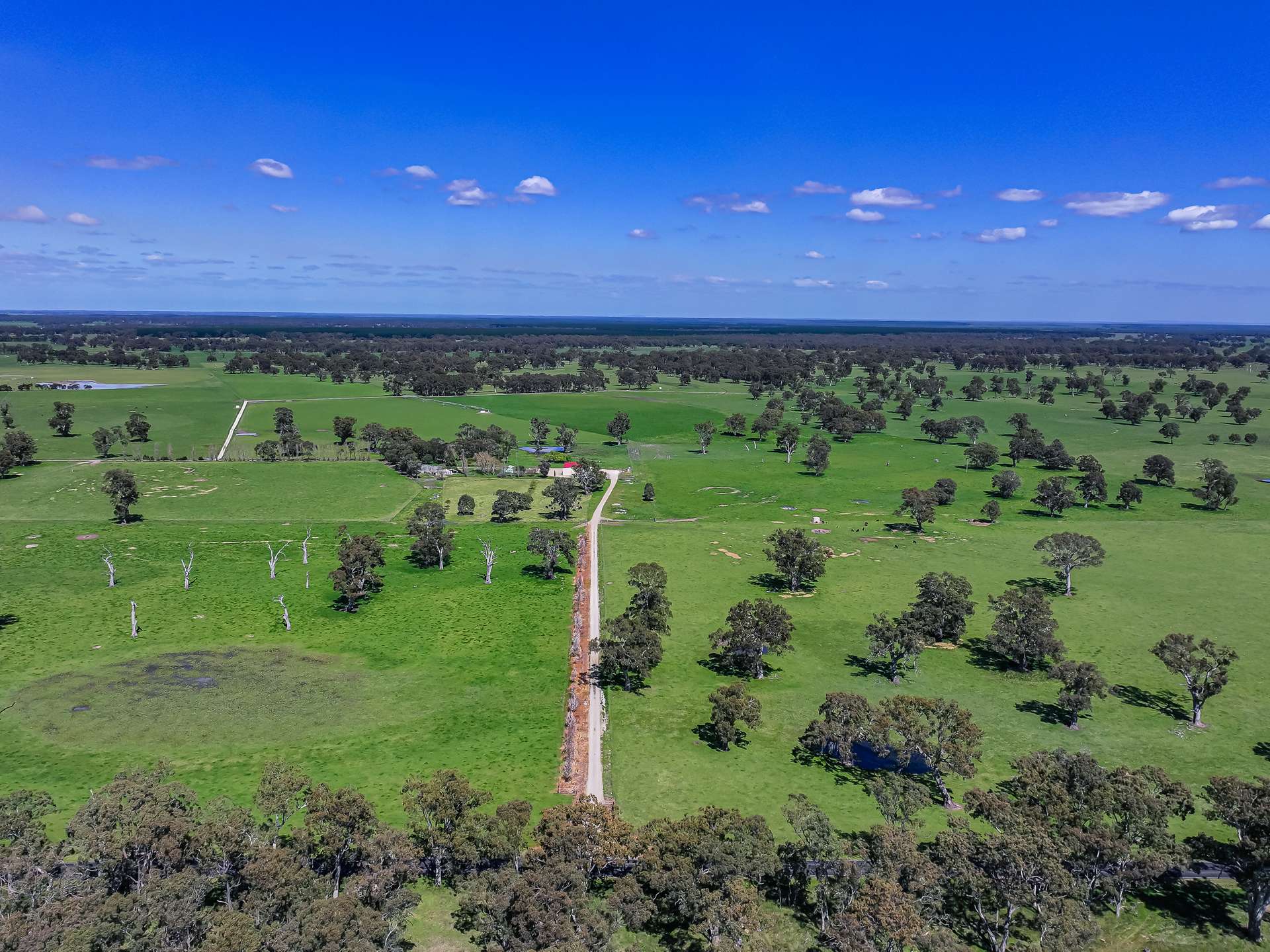 3699 Casterton-Penola Road, Lake Mundi For Sale by Farmbuy.com - image 13