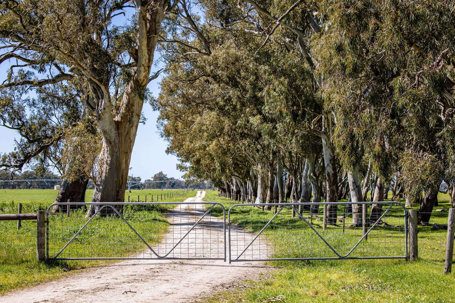 3699 Casterton-Penola Road, Lake Mundi For Sale by Farmbuy.com - image 4