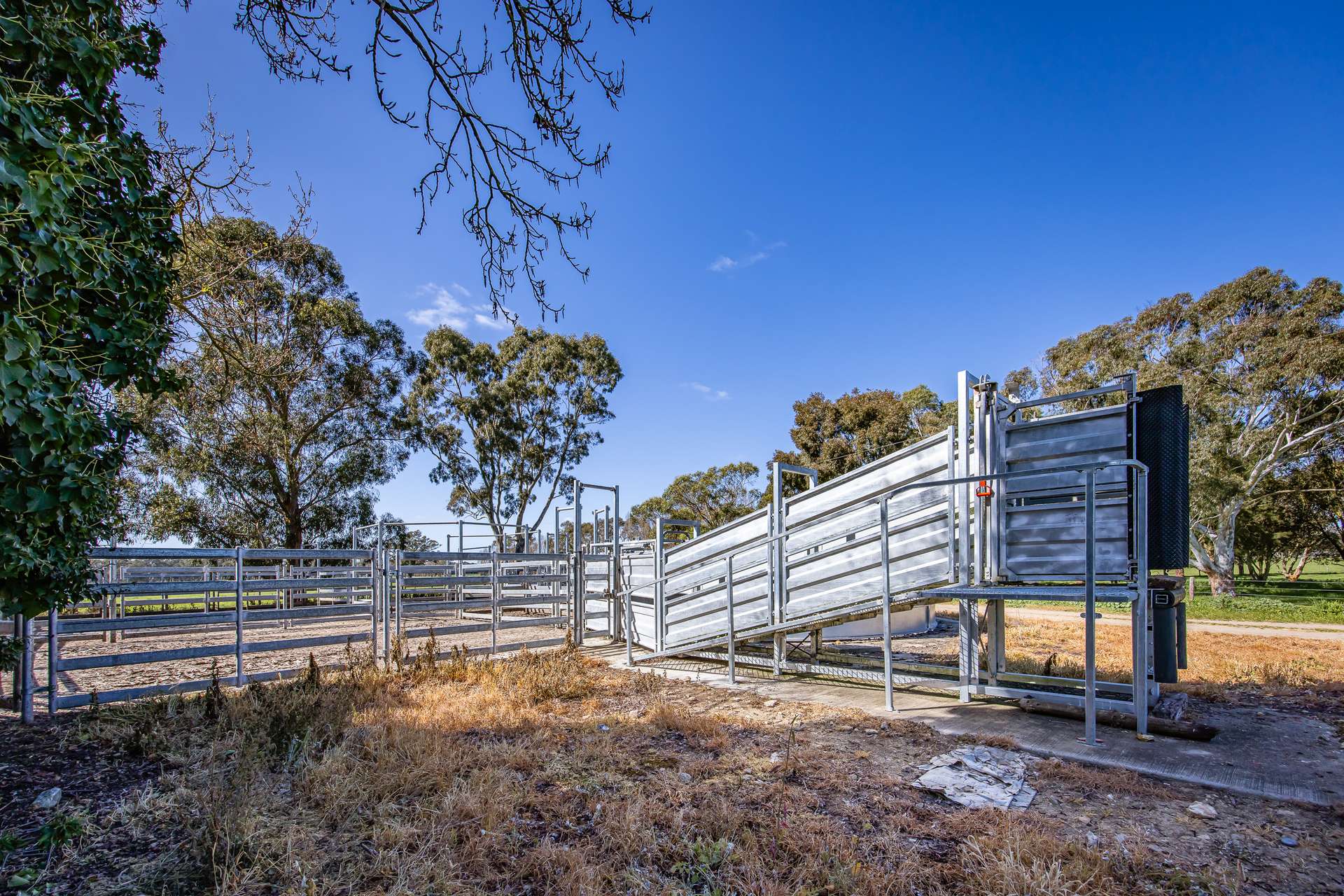 3699 Casterton-Penola Road, Lake Mundi For Sale by Farmbuy.com - image 11