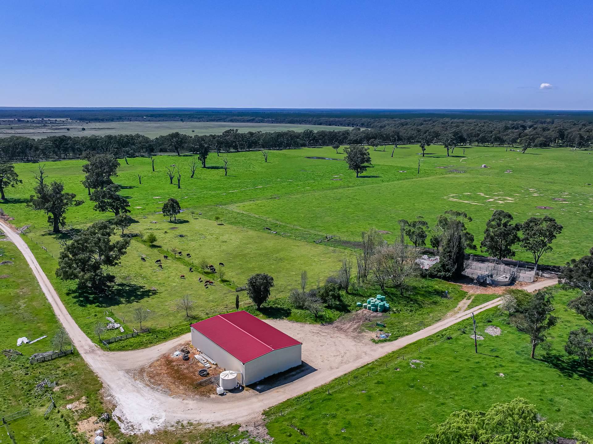 3699 Casterton-Penola Road, Lake Mundi For Sale by Farmbuy.com - image 14