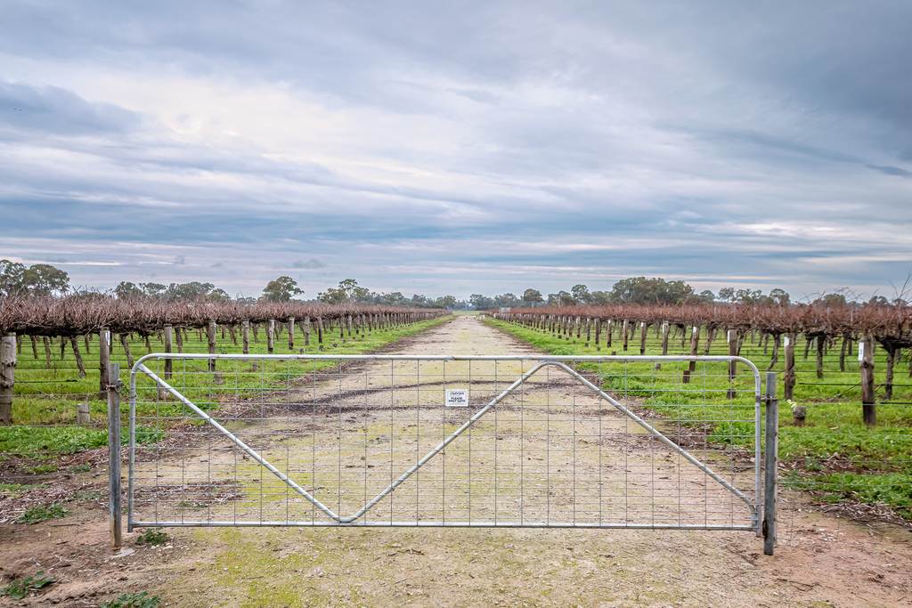 Lot 10 V&A Lane Penola, Coonawarra SA 5263