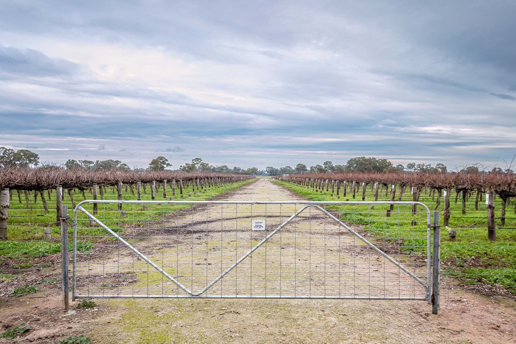 Lot  10 V&A Lane Penola, Coonawarra For Sale by Farmbuy.com - image 1