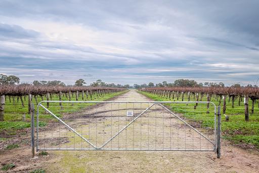 Lot 10 V&A Lane Penola, Coonawarra SA 5263