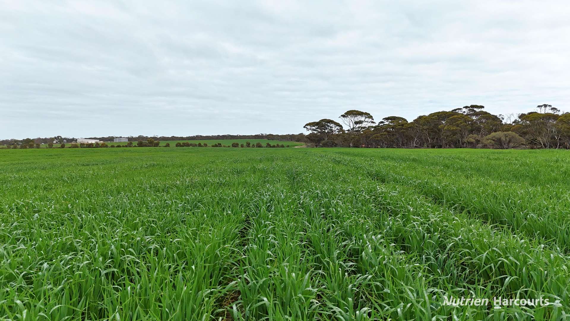 1530 Billericay Road East, South Kumminin Auction by Farmbuy.com - image 6