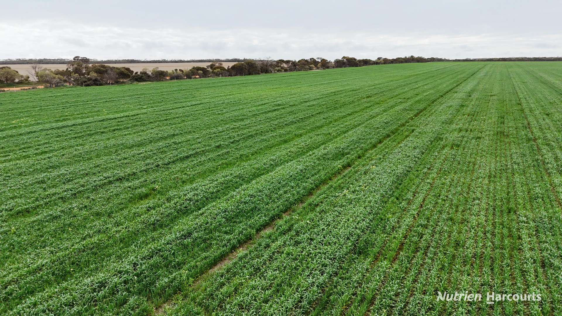 1530 Billericay Road East, South Kumminin Auction by Farmbuy.com - image 11