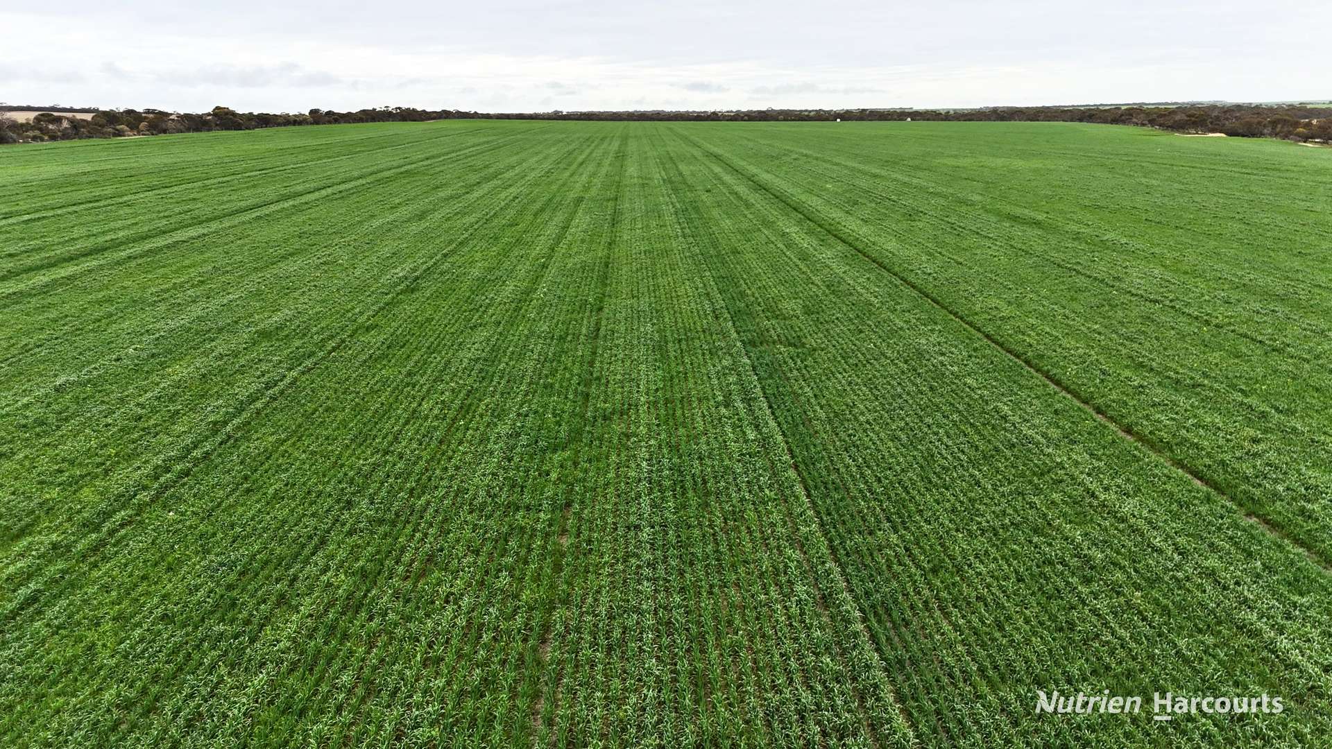 1530 Billericay Road East, South Kumminin Auction by Farmbuy.com - image 2
