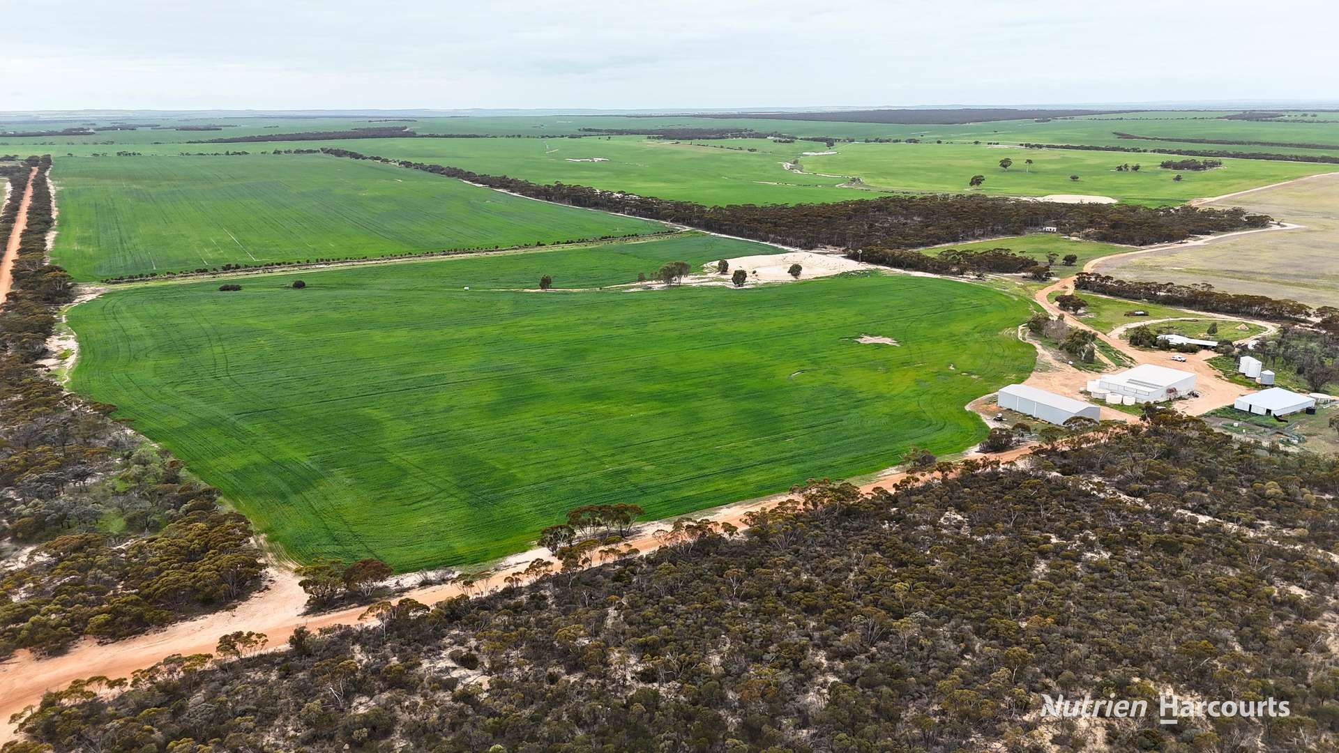 1530 Billericay Road East, South Kumminin Auction by Farmbuy.com - image 28
