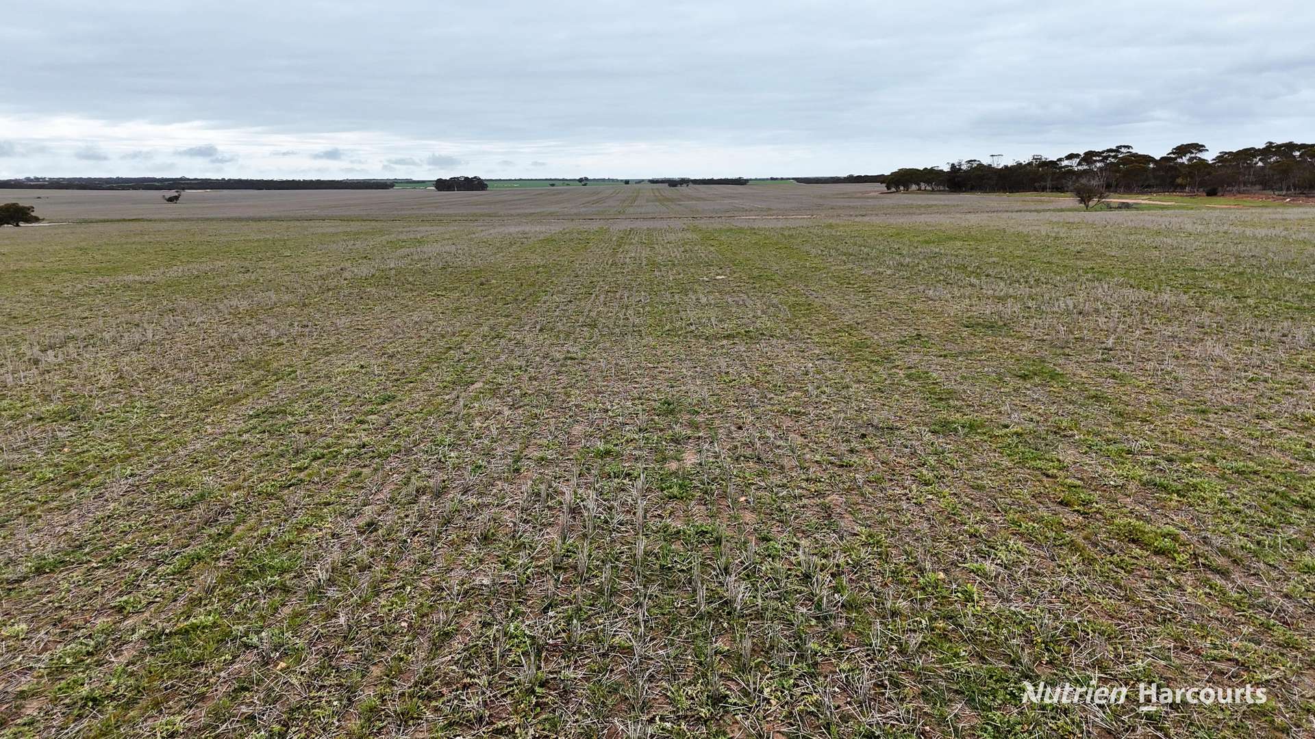 1530 Billericay Road East, South Kumminin Auction by Farmbuy.com - image 29
