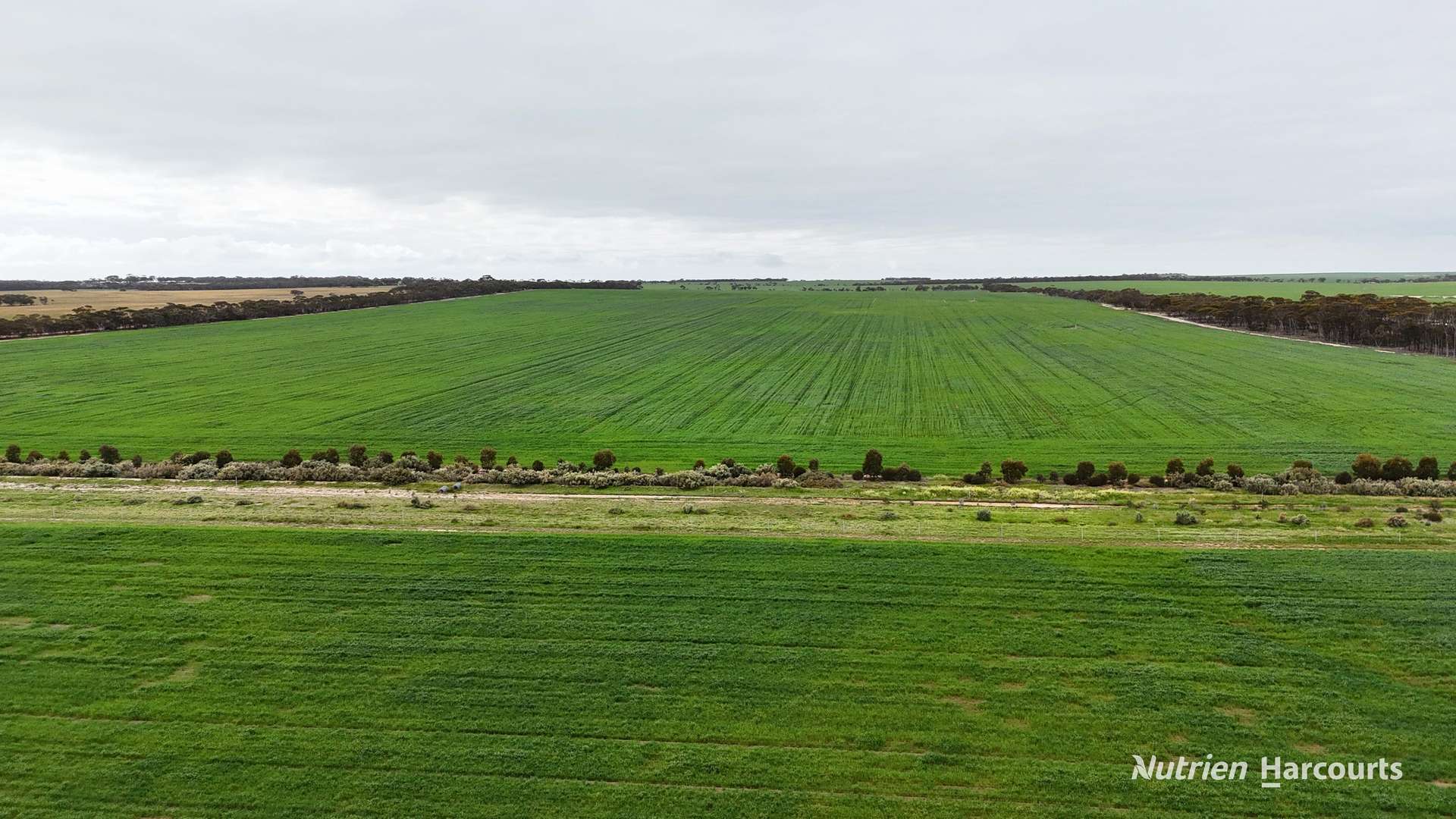 1530 Billericay Road East, South Kumminin Auction by Farmbuy.com - image 24