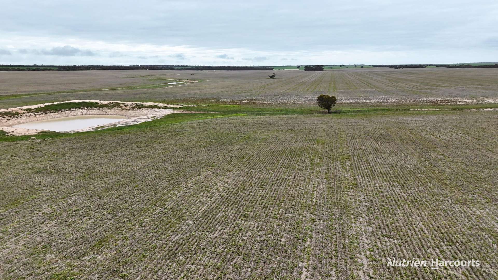 1530 Billericay Road East, South Kumminin Auction by Farmbuy.com - image 9