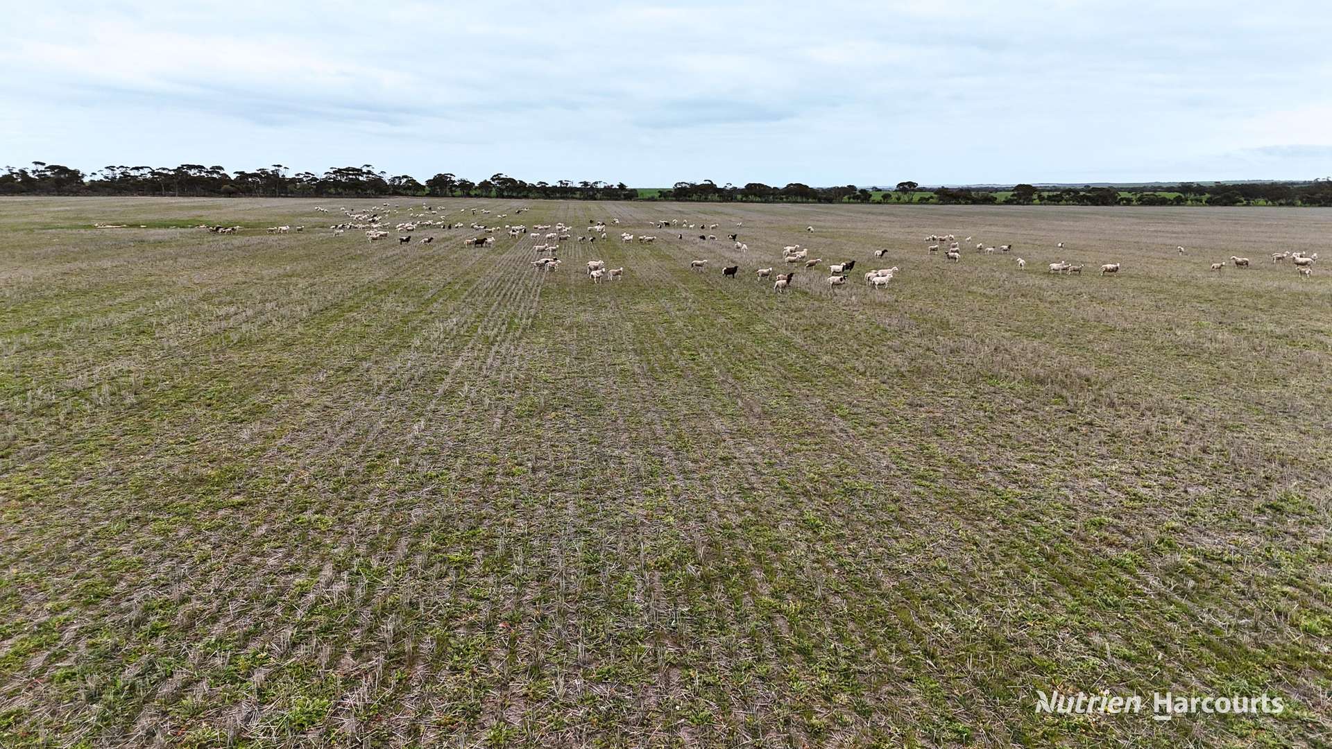 1530 Billericay Road East, South Kumminin Auction by Farmbuy.com - image 30