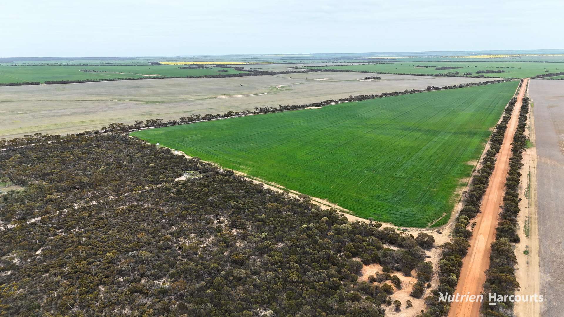 1530 Billericay Road East, South Kumminin Auction by Farmbuy.com - image 17