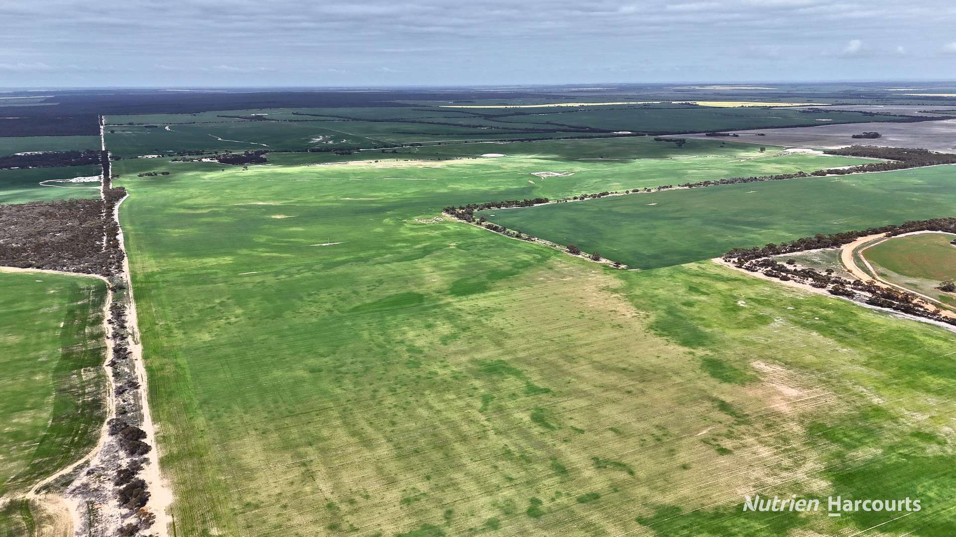 1530 Billericay Road East, South Kumminin Auction by Farmbuy.com - image 25