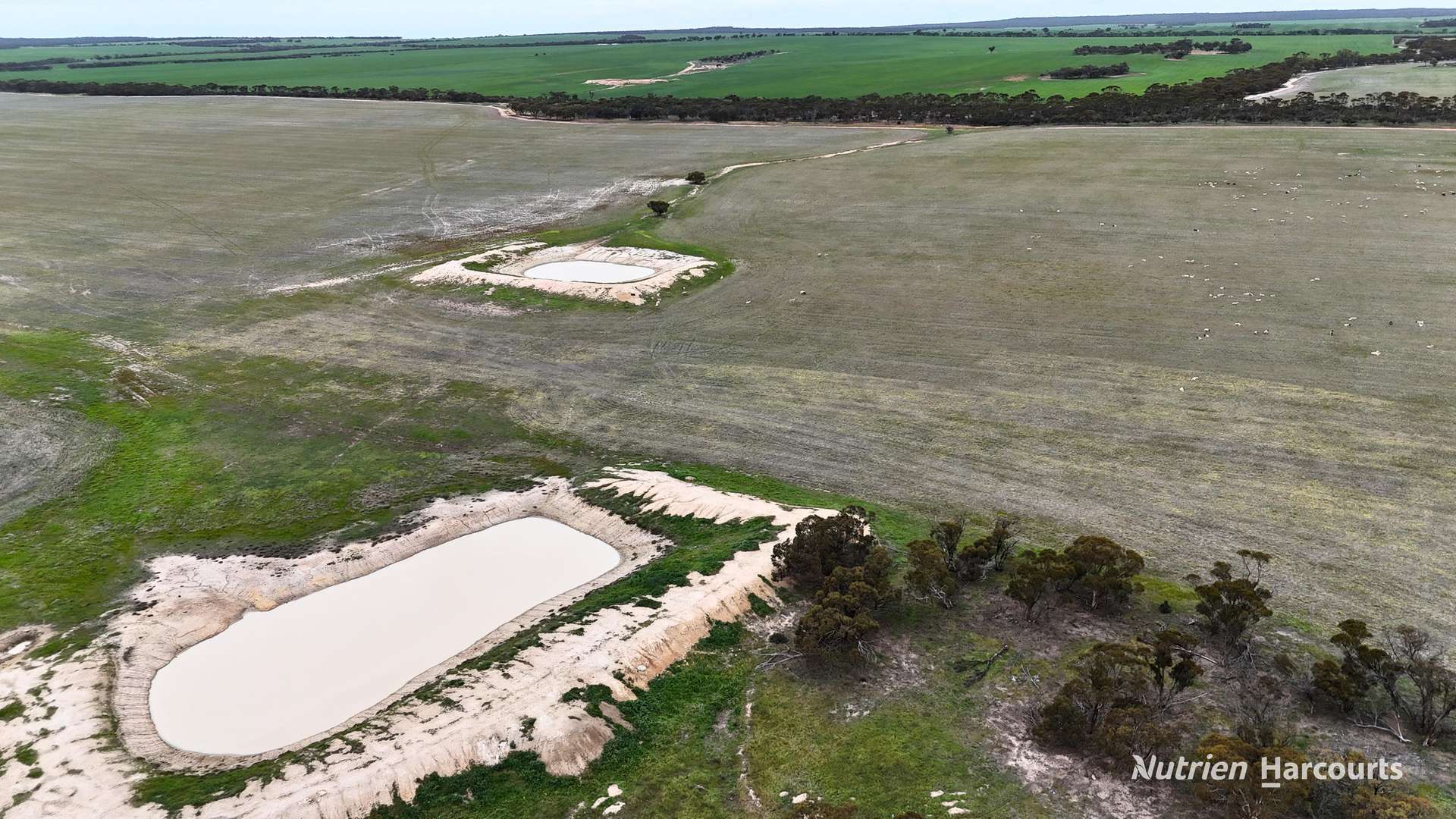 1530 Billericay Road East, South Kumminin Auction by Farmbuy.com - image 8