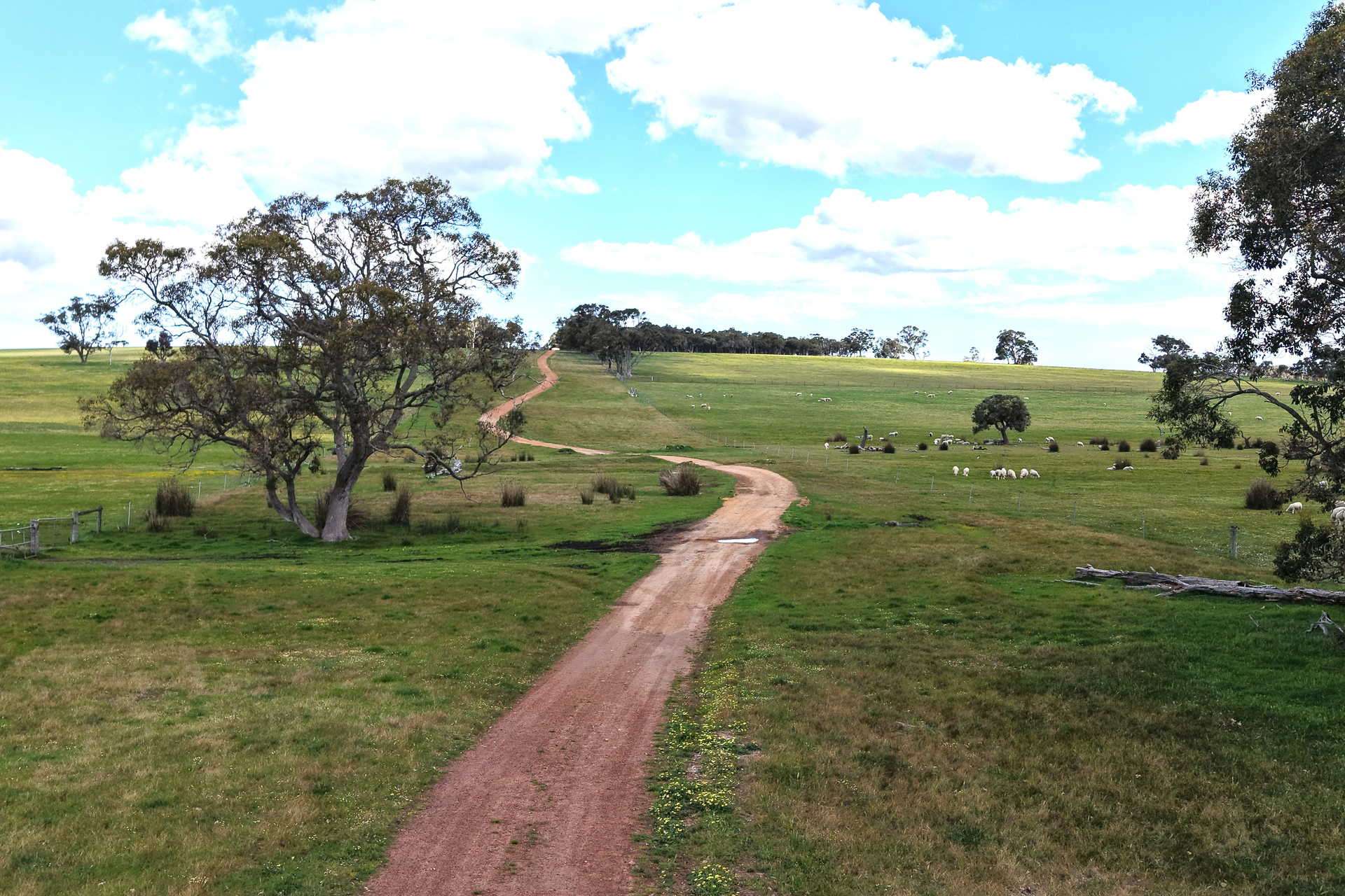 530 Watermans Road, Narrikup For Sale by Farmbuy.com - image 19