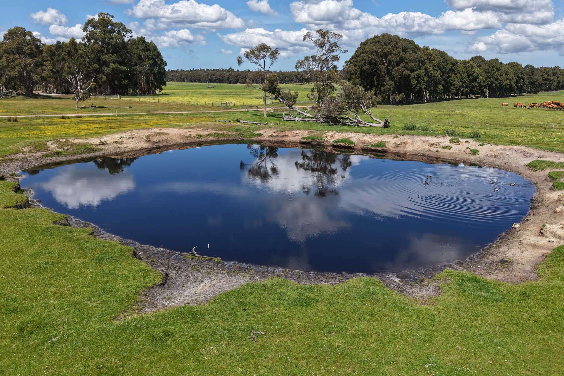 530 Watermans Road, Narrikup For Sale by Farmbuy.com - image 12