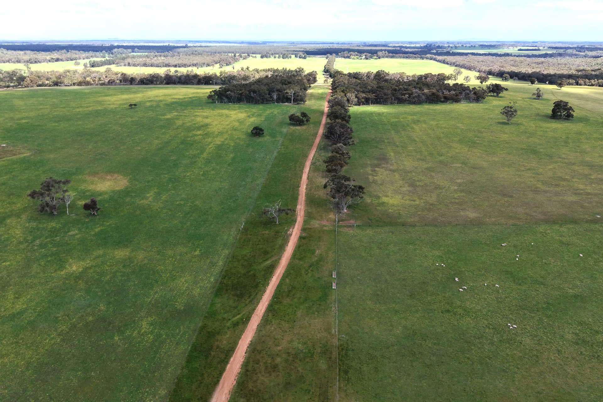 530 Watermans Road, Narrikup For Sale by Farmbuy.com - image 11