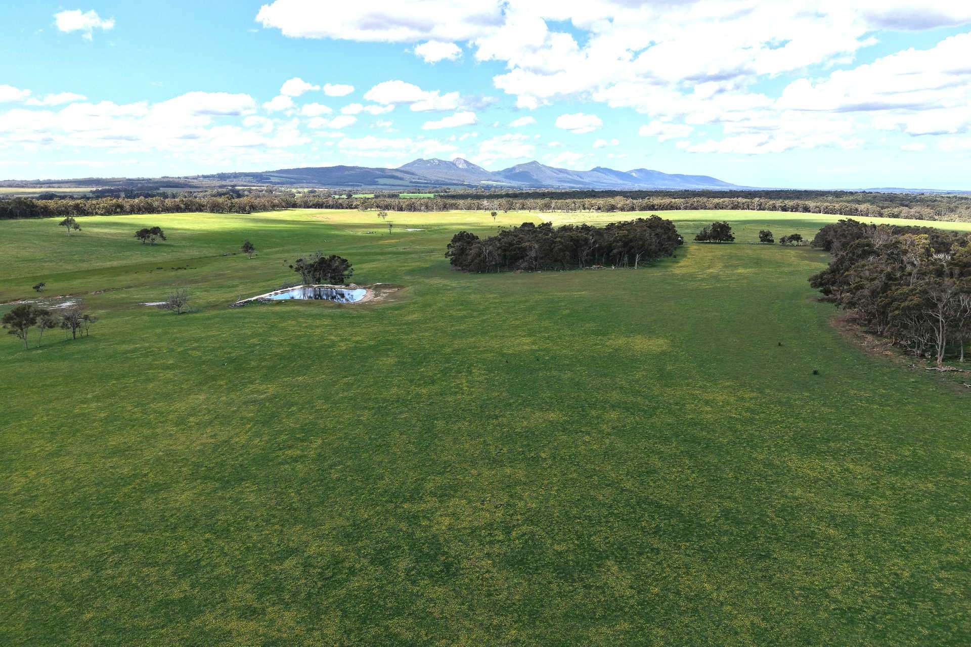 530 Watermans Road, Narrikup For Sale by Farmbuy.com - image 3