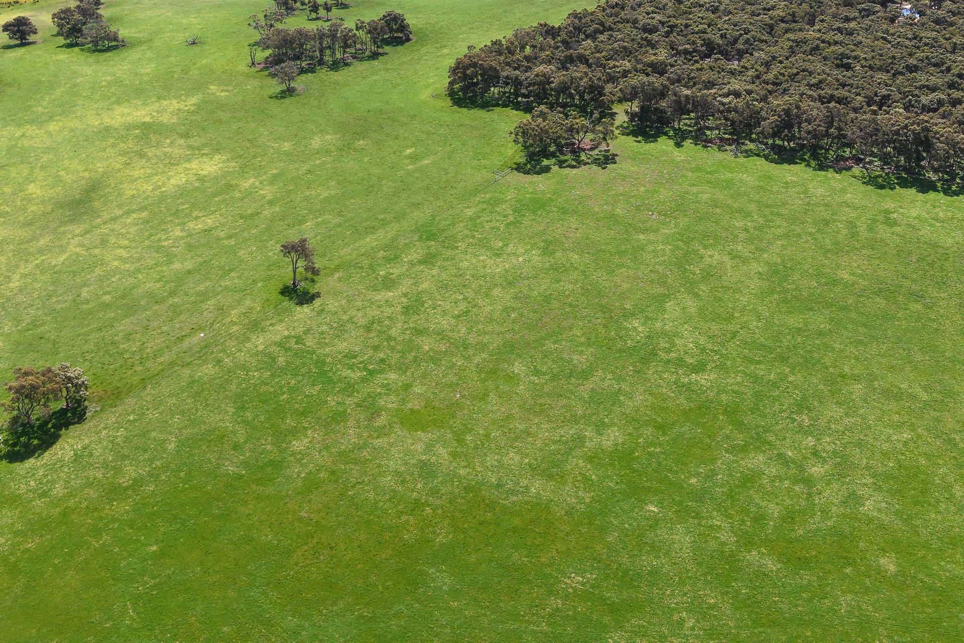 530 Watermans Road, Narrikup For Sale by Farmbuy.com - image 20