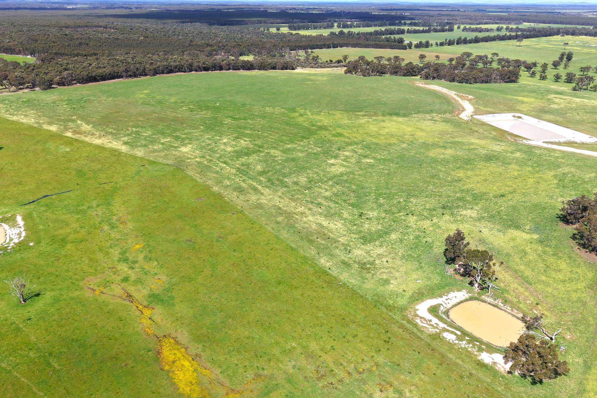 530 Watermans Road, Narrikup For Sale by Farmbuy.com - image 7