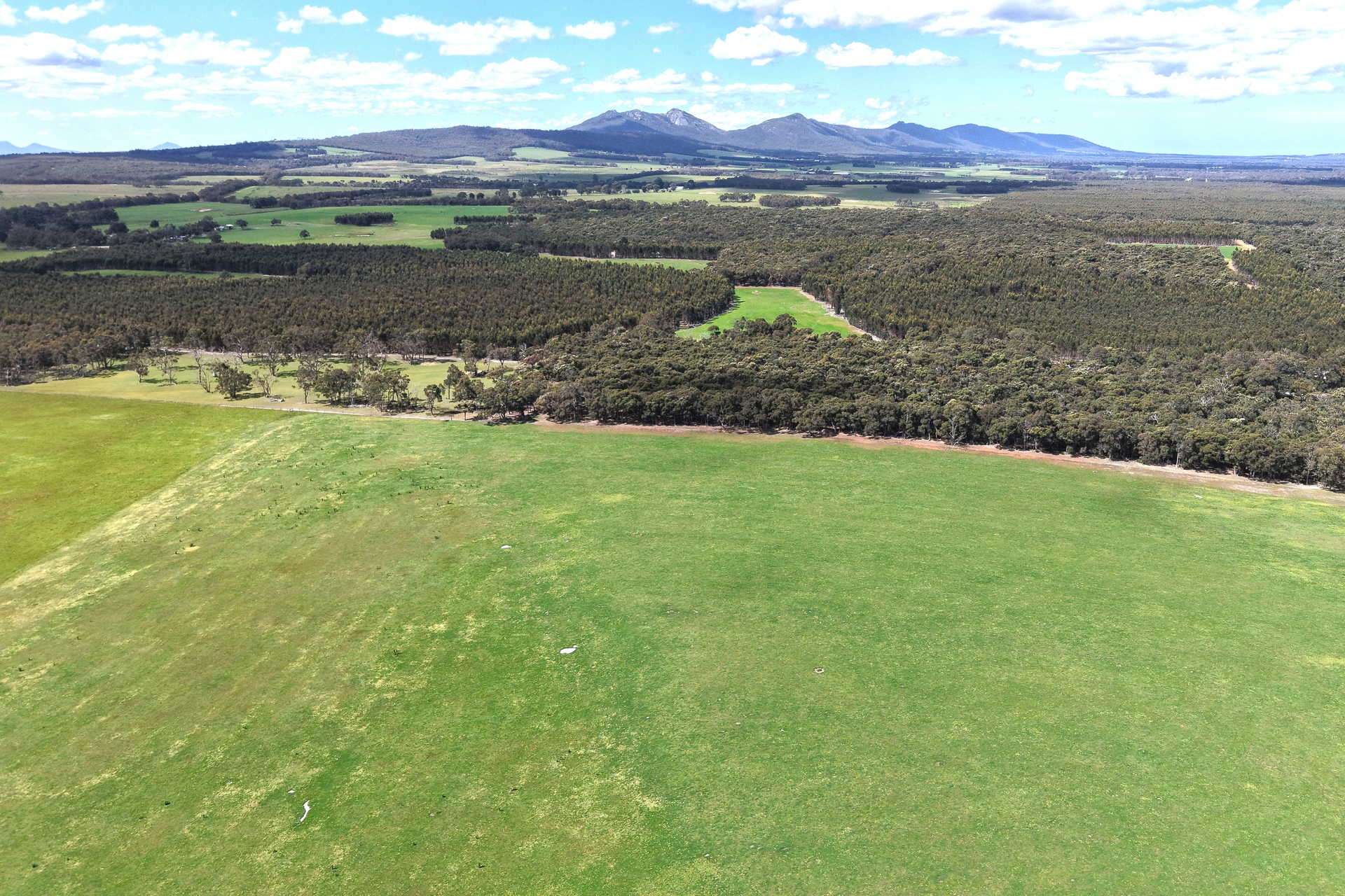 530 Watermans Road, Narrikup For Sale by Farmbuy.com - image 2