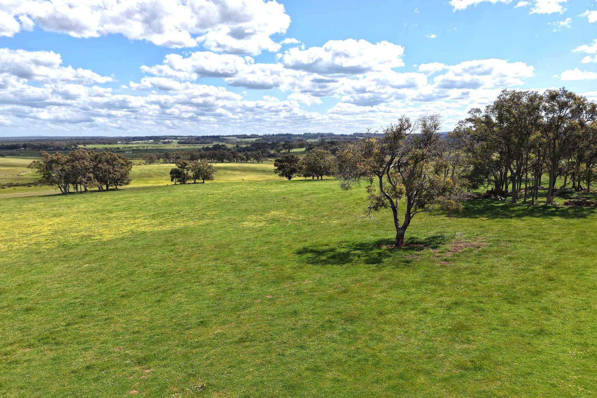 530 Watermans Road, Narrikup For Sale by Farmbuy.com - image 16