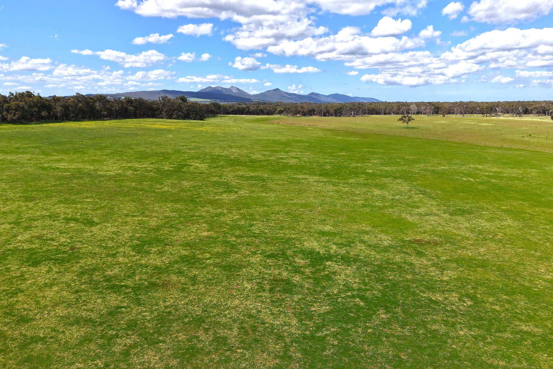 530 Watermans Road, Narrikup For Sale by Farmbuy.com - image 10