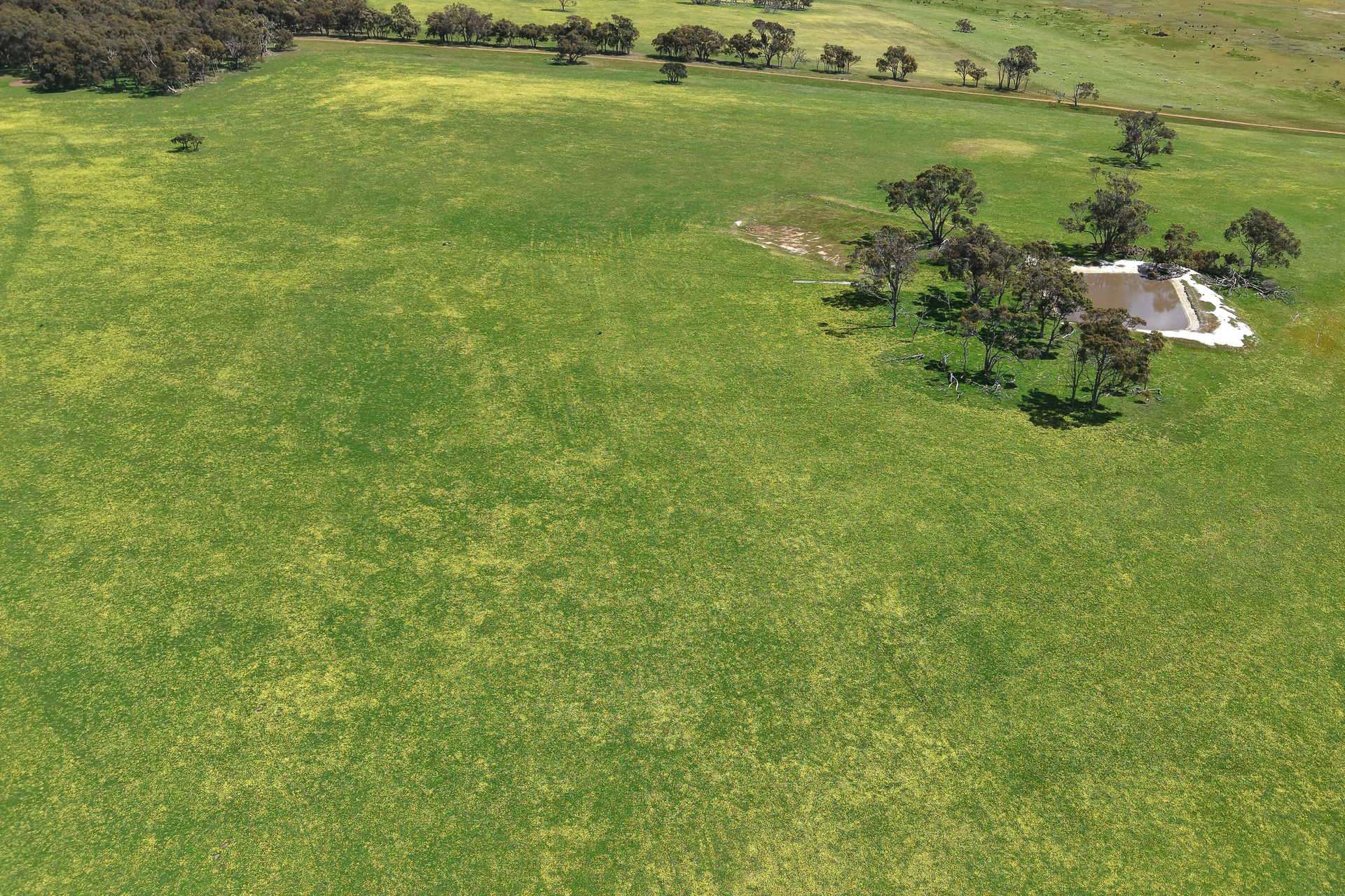 530 Watermans Road, Narrikup For Sale by Farmbuy.com - image 5