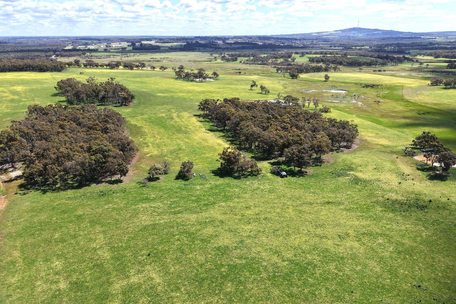 530 Watermans Road, Narrikup For Sale by Farmbuy.com - image 6