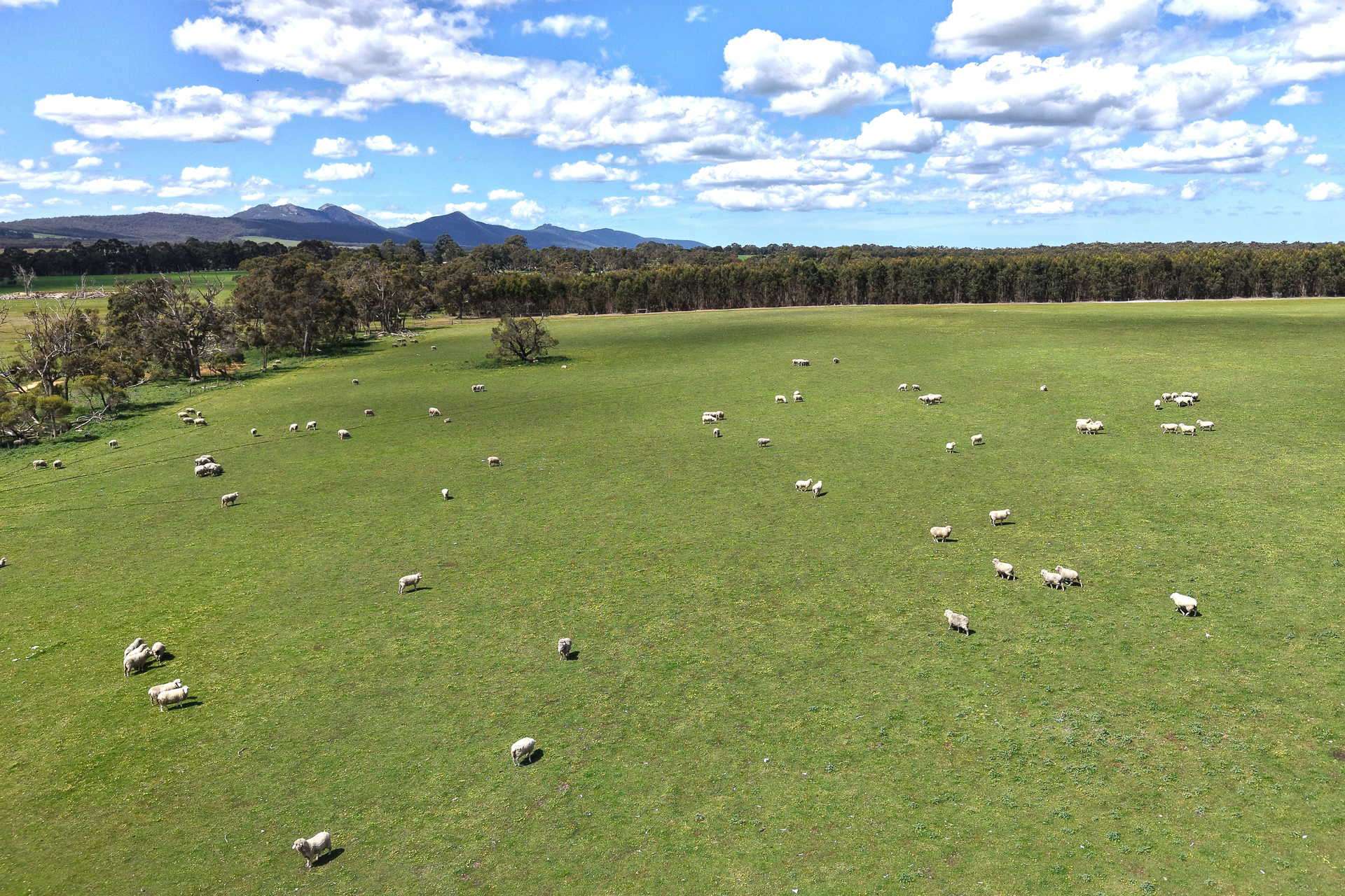 530 Watermans Road, Narrikup For Sale by Farmbuy.com - image 18
