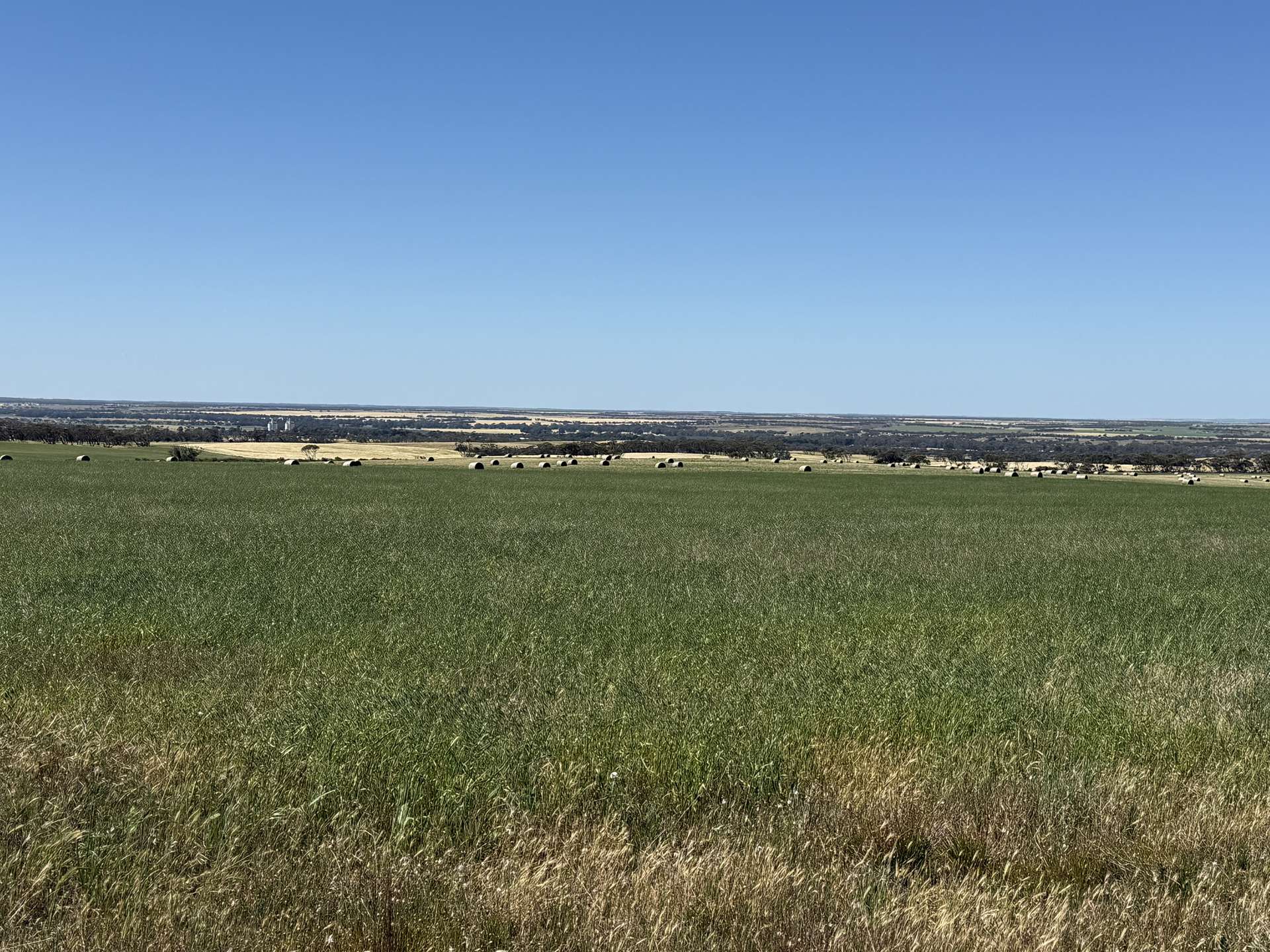 Lot 486 & 487,  Three Chain Road, Cambrai For Sale by Farmbuy.com - image 7