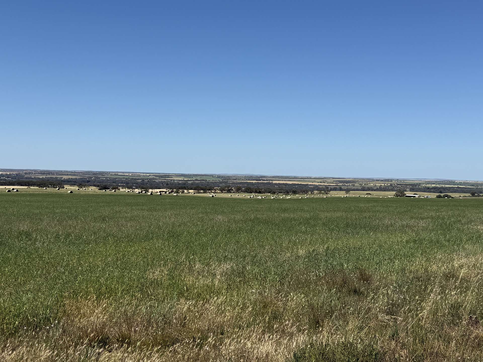 Lot 486 & 487,  Three Chain Road, Cambrai For Sale by Farmbuy.com - image 6