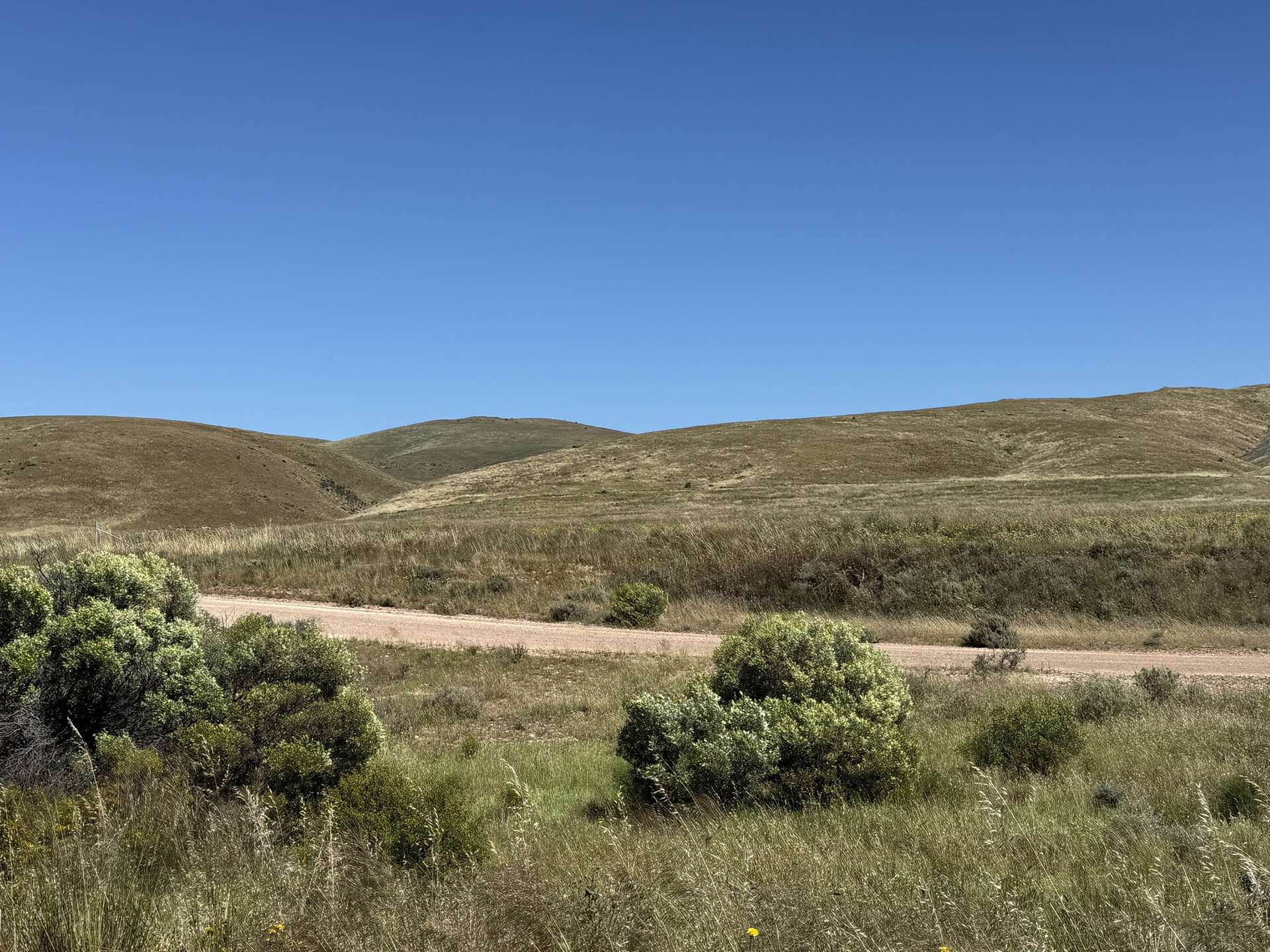 Lot 486 & 487,  Three Chain Road, Cambrai For Sale by Farmbuy.com - image 1
