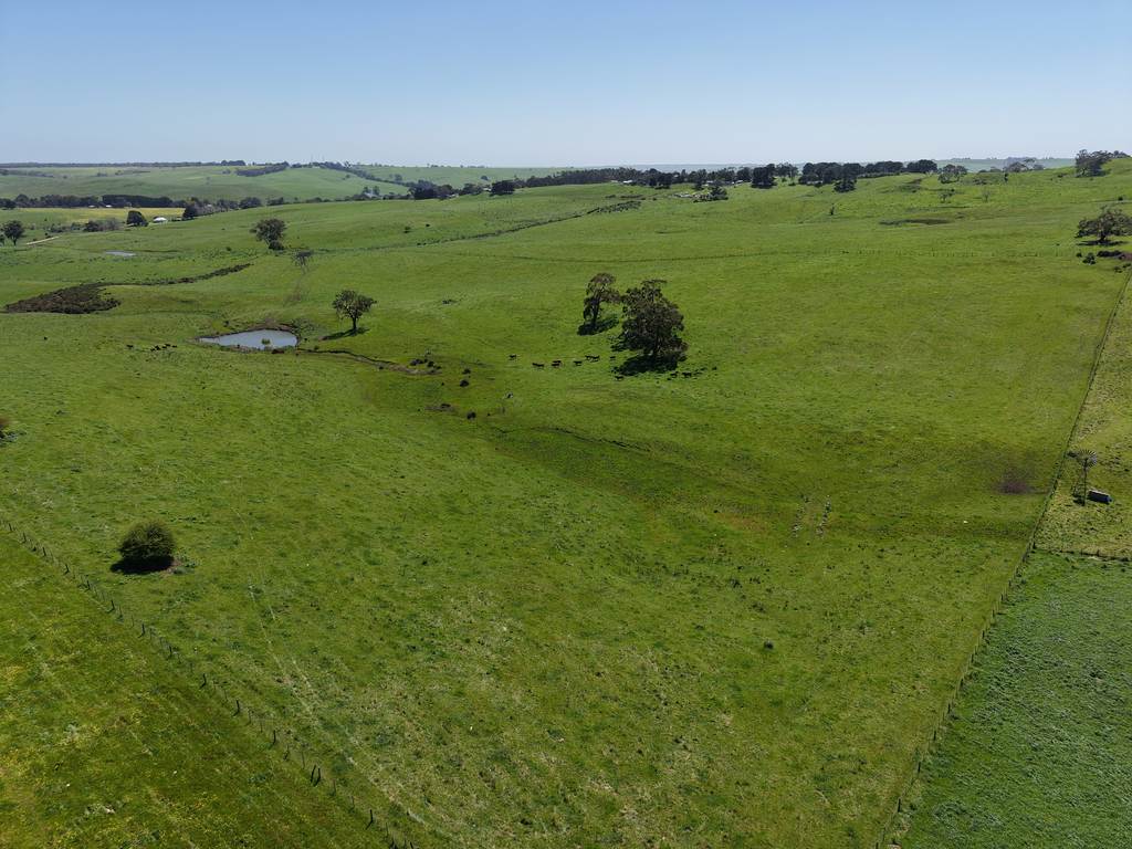 CA17 Bryce Street, Merino VIC 3310