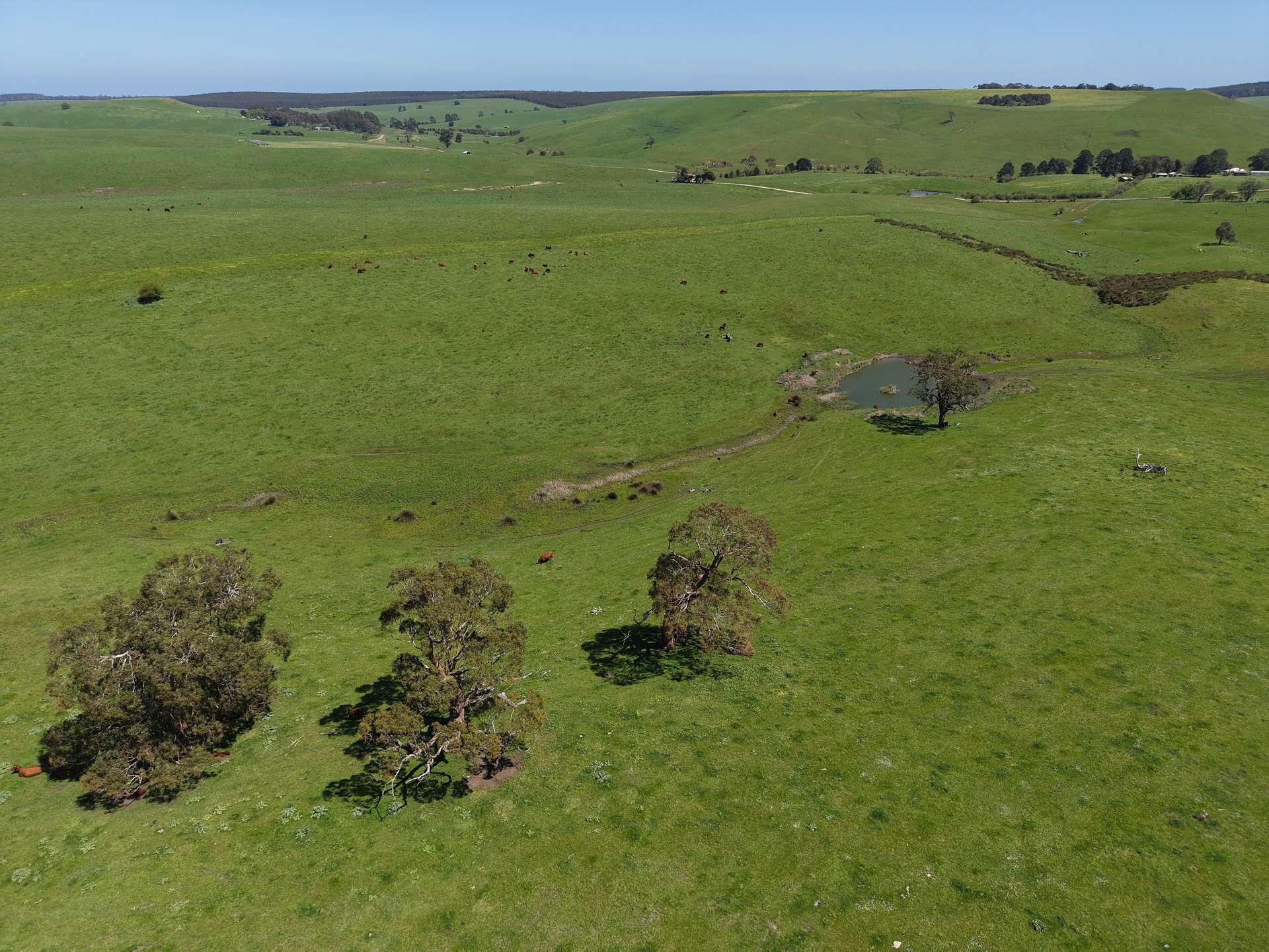 CA17 Bryce Street, Merino For Sale by Farmbuy.com - image 2