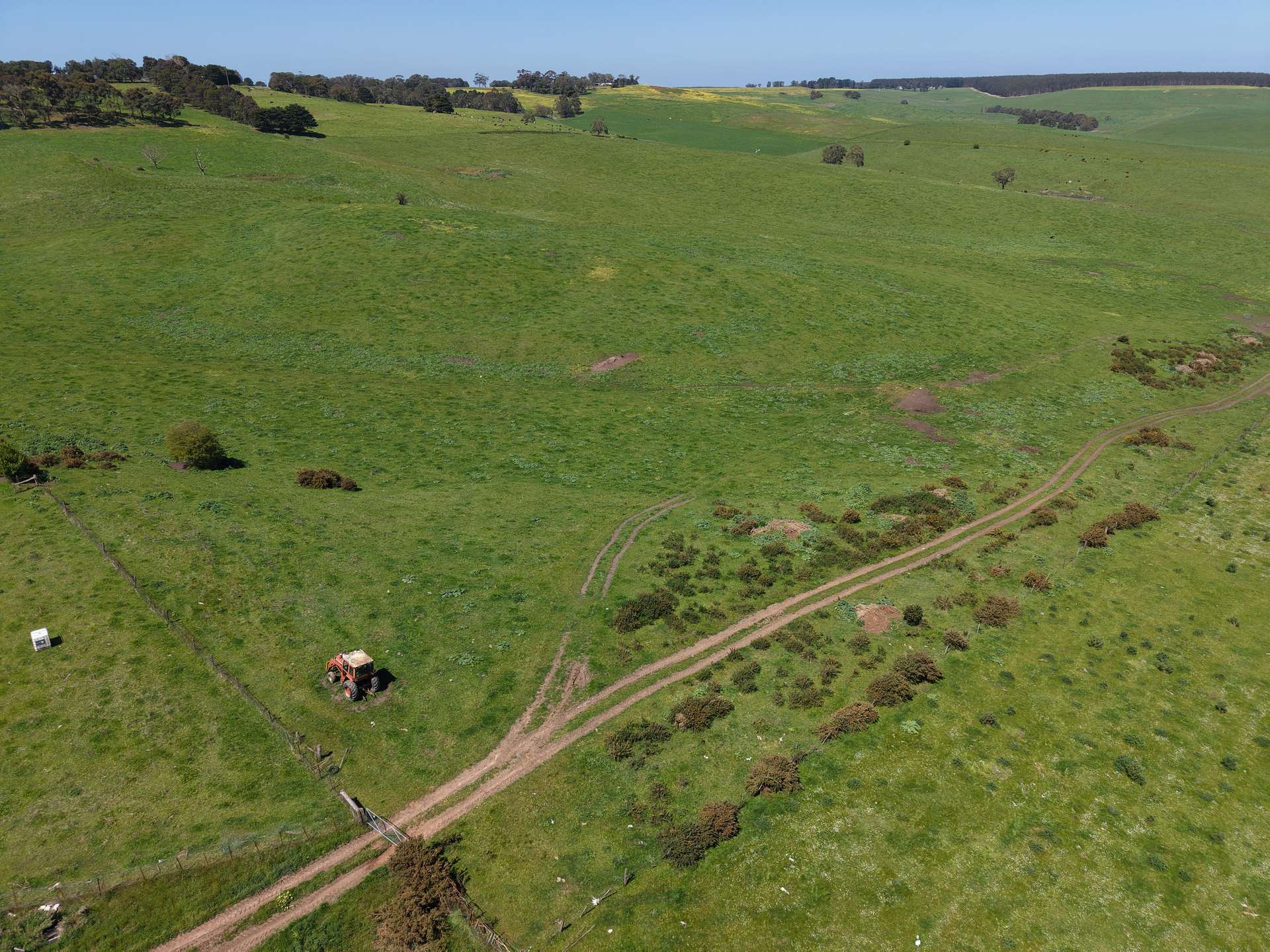CA17 Bryce Street, Merino For Sale by Farmbuy.com - image 4