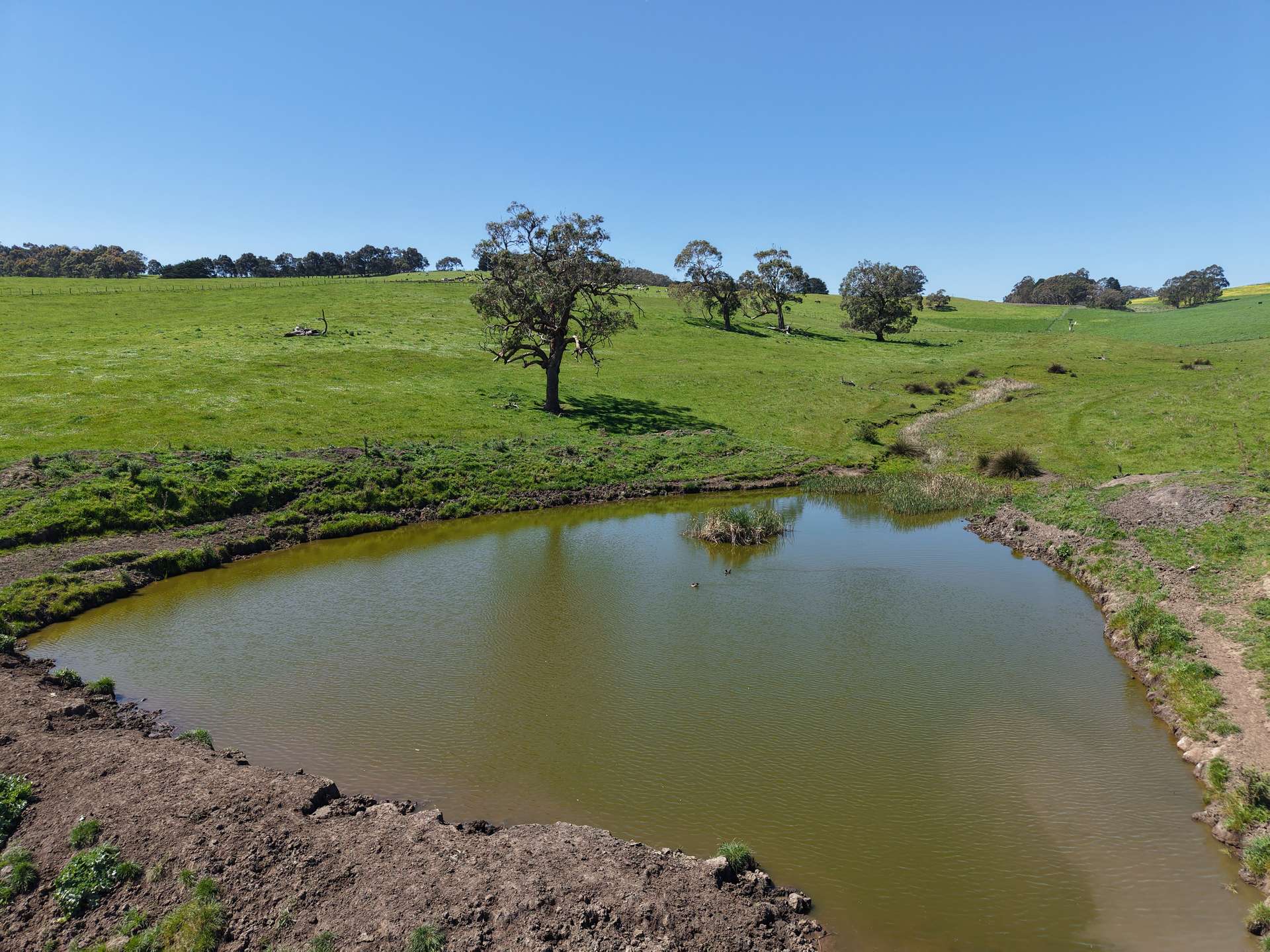 CA17 Bryce Street, Merino For Sale by Farmbuy.com - image 6
