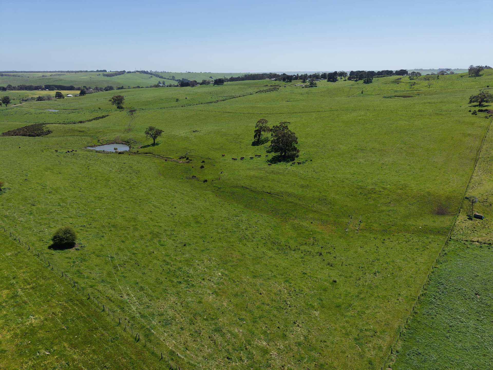 CA17 Bryce Street, Merino For Sale by Farmbuy.com - image 1
