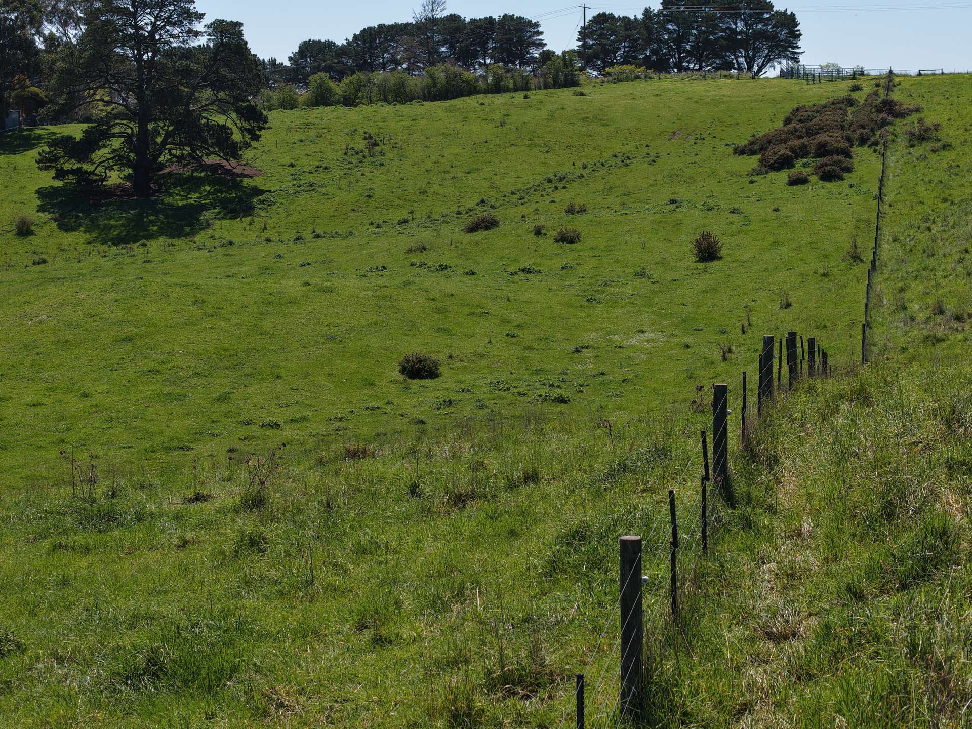 CA17 Bryce Street, Merino For Sale by Farmbuy.com - image 9