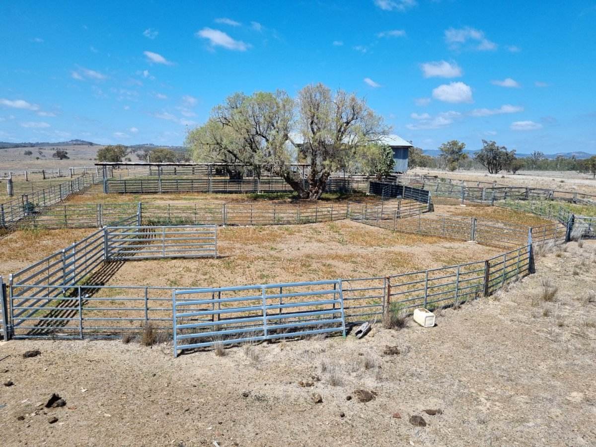 2403 Stanthorpe Inglewood Road, Inglewood For Sale by Farmbuy.com - image 25