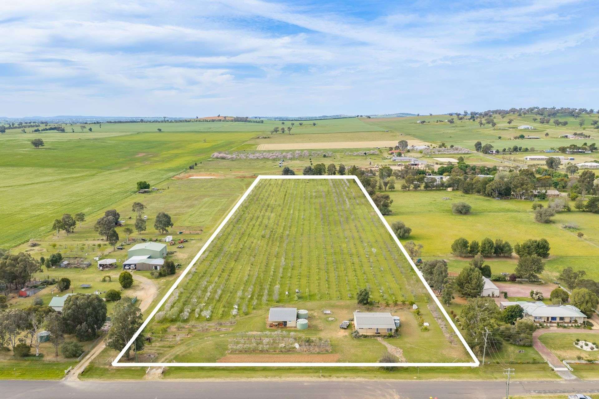 58 Longs Corner Road, Canowindra For Sale by Farmbuy.com - image 1