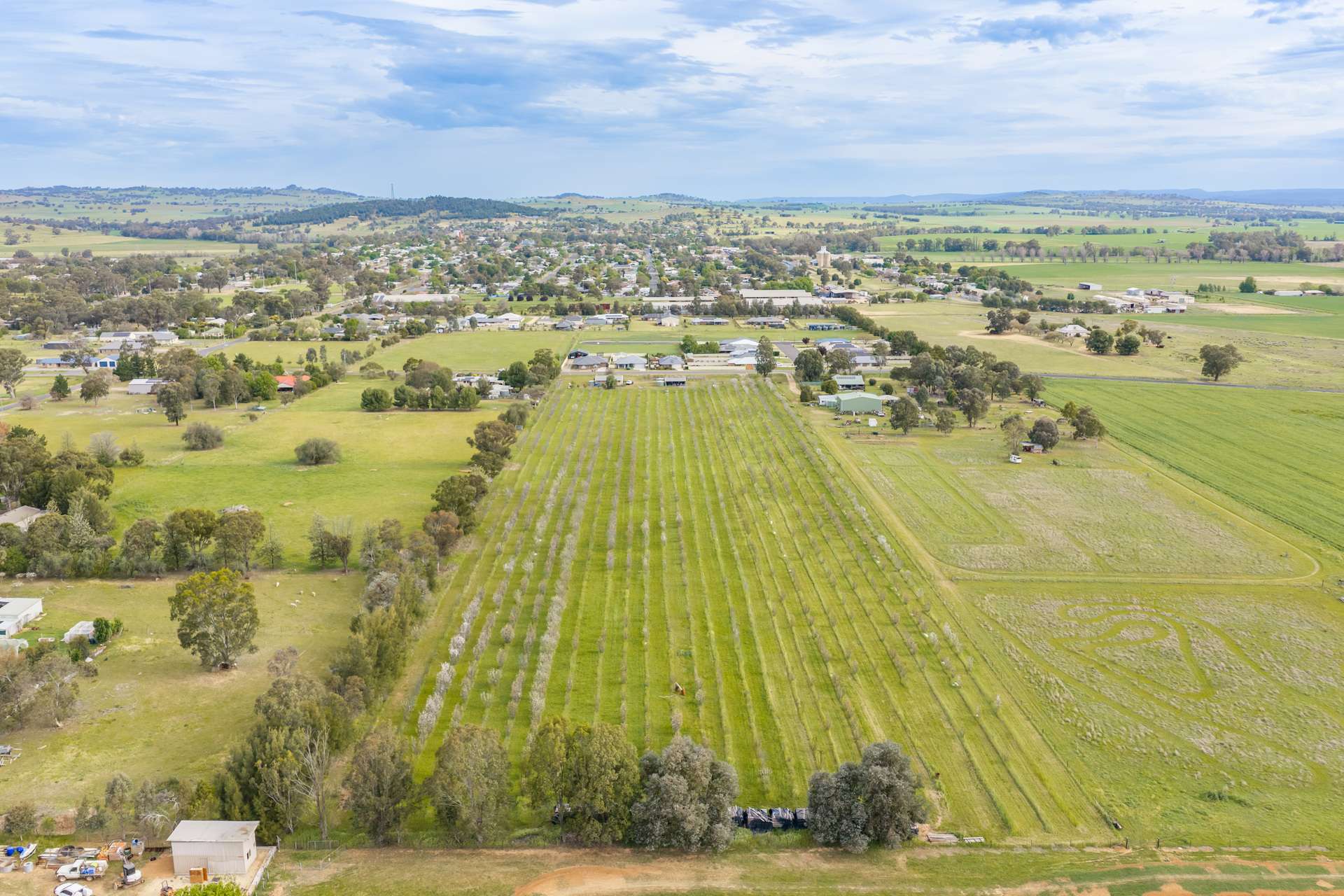 58 Longs Corner Road, Canowindra For Sale by Farmbuy.com - image 17